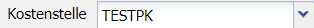 4. Auswahl der Kostenstelle
